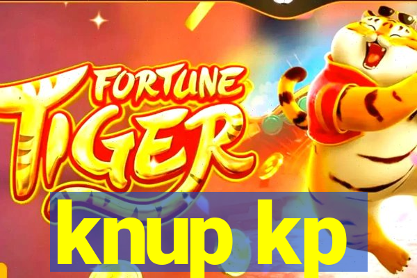 knup kp-t89 driver
